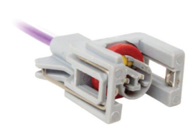 2 vias inyector Delphi